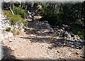 P6292885.JPG