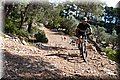 P6292887.JPG