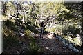 P6292890.JPG