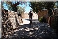 P6292906.JPG