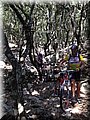 IMG-20130725-WA0013.jpg