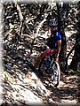 IMG-20130725-WA0017.jpg