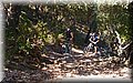 P7253777.JPG