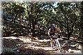 P7253803.JPG