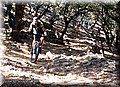 P7253806.JPG
