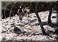 P7253824.JPG