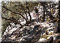 P7253830.JPG