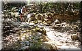 P7253855.JPG