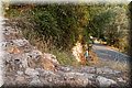 P7283864.JPG