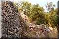 P7283873.JPG