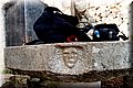 P7283874.JPG
