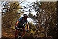P7283880.JPG