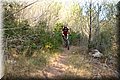 P7283883.JPG