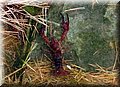 P7283890.JPG