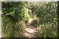 P7283899.JPG