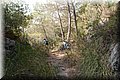 P7283900.JPG
