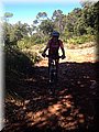 IMG-20130801-WA0011.jpg