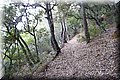 P8063992.JPG