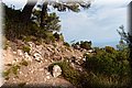 P8064009.JPG