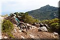 P8064011.JPG