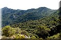 P8064012.JPG