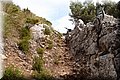 P8064017.JPG