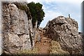 P8064029.JPG