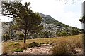 P8064035.JPG