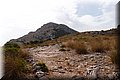 P8064037.JPG