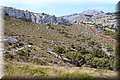 P8064041.JPG
