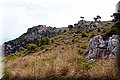 P8064048.JPG