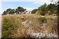 P8064052.JPG