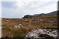 P8064053.JPG