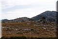 P8064055.JPG