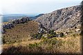 P8064056.JPG