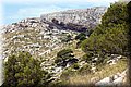 P8064057.JPG
