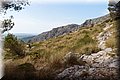 P8064061.JPG