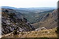 P8064062.JPG