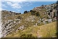 P8064065.JPG