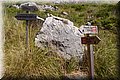 P8064067.JPG