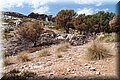 P8064071.JPG