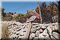 P8064073.JPG