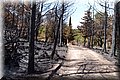 P8064099.JPG