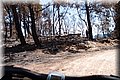 P8064101.JPG