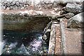 P8064112.JPG