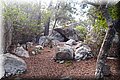 PA065612.JPG