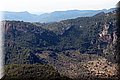 PA085706.JPG