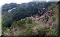 PA125962.JPG