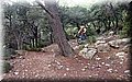 PA125980.JPG