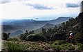 PA125998.JPG